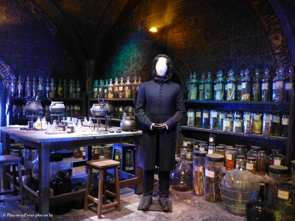 Rogue dans la salle des potions