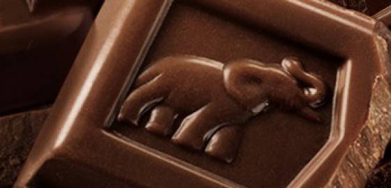 chocolat côte d'or