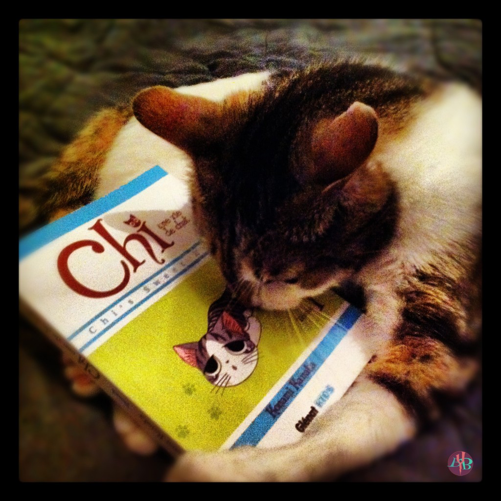 chat2