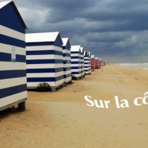 Côte belge